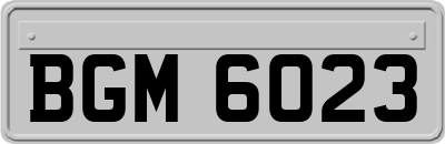 BGM6023