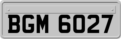 BGM6027