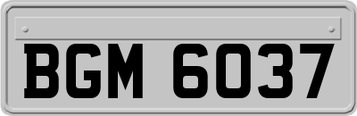 BGM6037