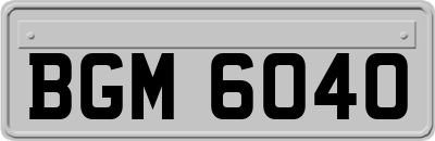 BGM6040
