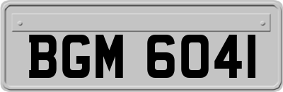 BGM6041