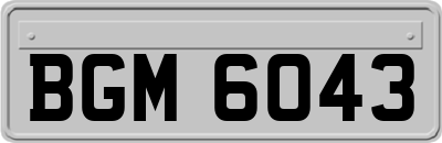 BGM6043