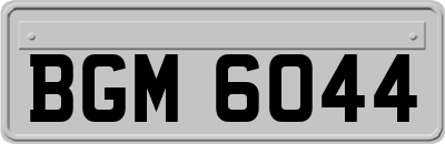 BGM6044