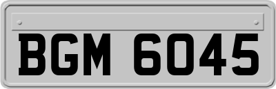 BGM6045