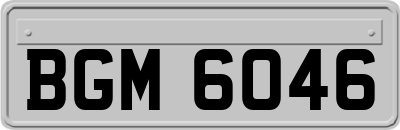 BGM6046