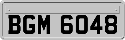 BGM6048