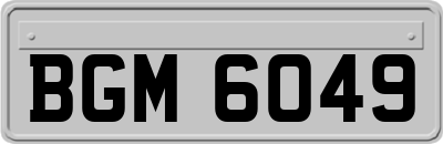 BGM6049