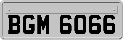 BGM6066