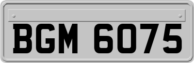 BGM6075