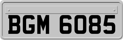BGM6085