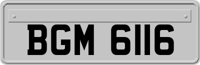 BGM6116