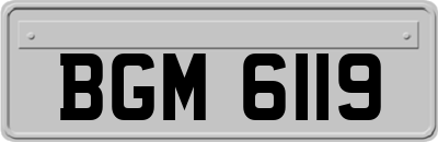 BGM6119