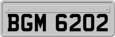 BGM6202