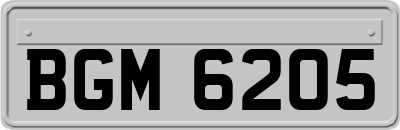 BGM6205