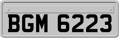 BGM6223
