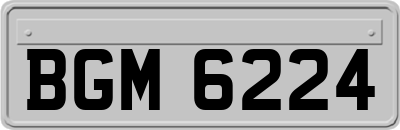 BGM6224