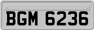 BGM6236