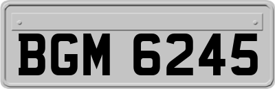 BGM6245