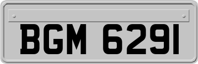 BGM6291