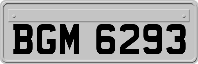 BGM6293