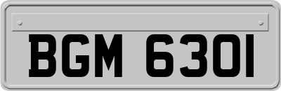 BGM6301