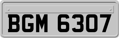 BGM6307
