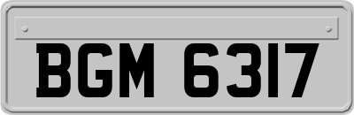 BGM6317