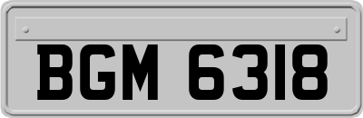 BGM6318