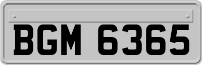 BGM6365
