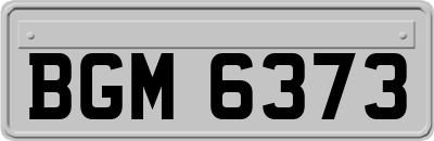 BGM6373