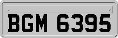 BGM6395
