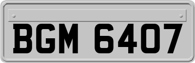 BGM6407