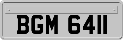 BGM6411