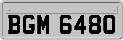 BGM6480