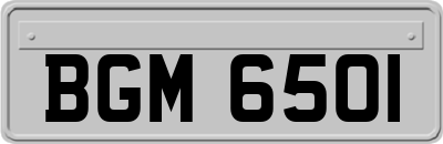 BGM6501