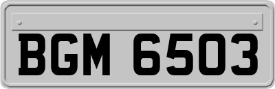 BGM6503