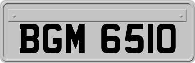 BGM6510