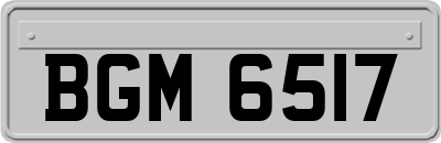 BGM6517