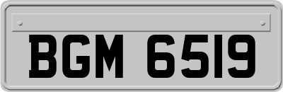 BGM6519
