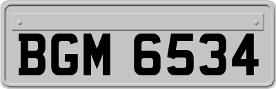 BGM6534