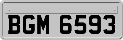 BGM6593
