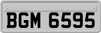 BGM6595