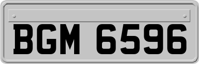 BGM6596