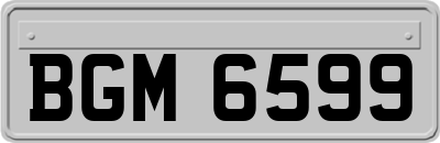 BGM6599