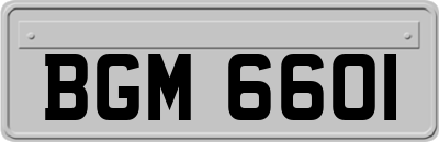 BGM6601
