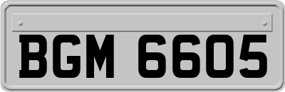 BGM6605