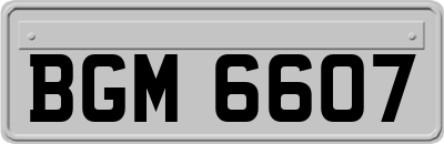 BGM6607