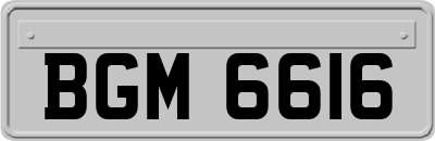 BGM6616