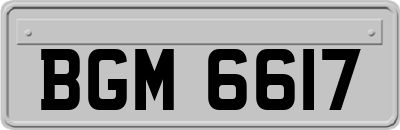 BGM6617