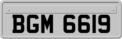 BGM6619